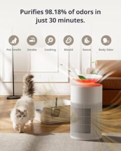 SwitchBot Air Purifiers and K10+ Pro Robot Vacuum in a modern home setting