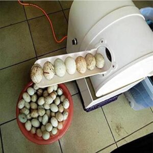 Electric Egg Washing Machine, automatic cleaner for chicken, duck, and goose eggs