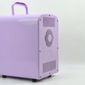 Mini Fridge Skincare Fridge in purple, 4-liter capacity, portable cooler and warmer